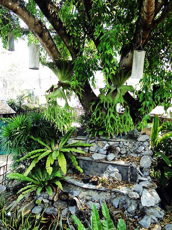 Heuandok - Euang Chiang Rai Ngoại thất bức ảnh